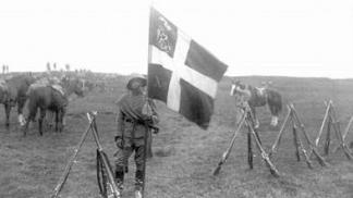 Lokalne obrambne enote Danska vojska šteje le 120 pripadnikov vojaškega osebja