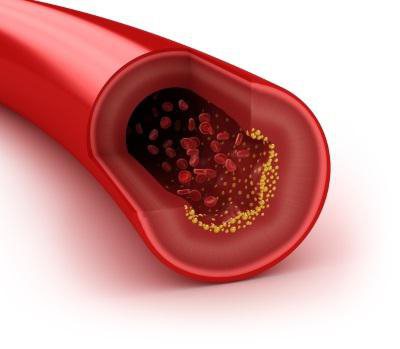 Реферат: Причини руху крові по артеріях венах капілярах
